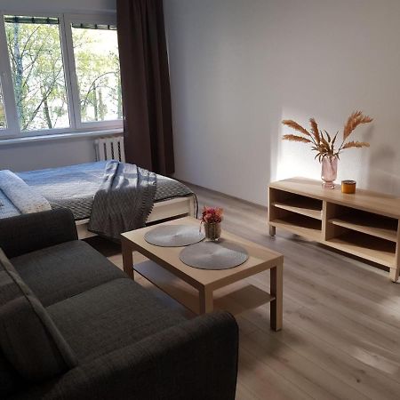 Modern Studio Naujakiemio, Self-Check-In, Free Parking クライペダ エクステリア 写真