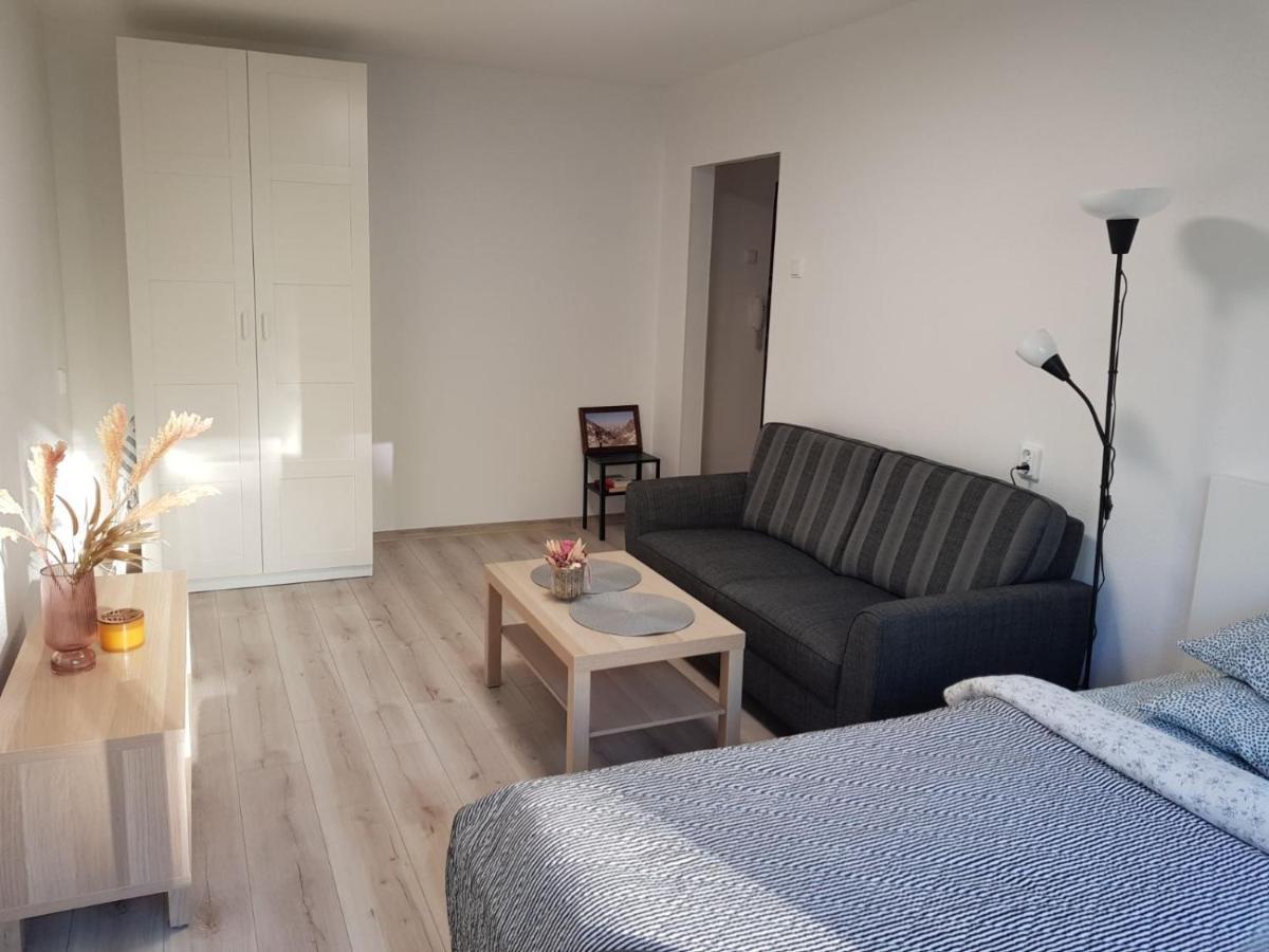 Modern Studio Naujakiemio, Self-Check-In, Free Parking クライペダ エクステリア 写真